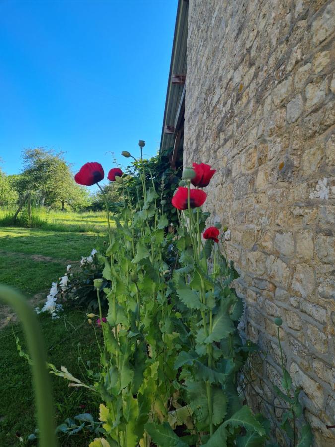 Domaine De La Cour Vautier Bed & Breakfast Mandeville-en-Bessin Ngoại thất bức ảnh