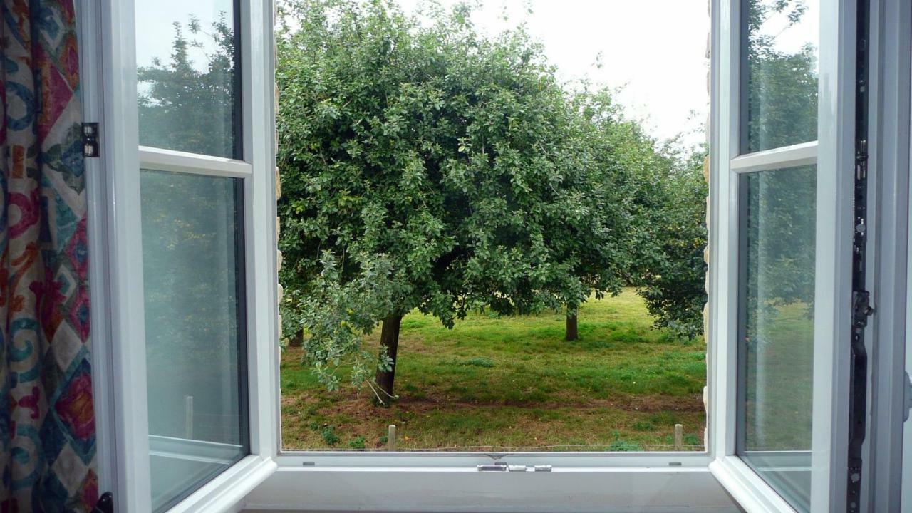 Domaine De La Cour Vautier Bed & Breakfast Mandeville-en-Bessin Ngoại thất bức ảnh
